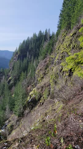 Vertical 4K video footage captured on a hiking trail on Elk Mountain in Tillamook State Forest Oregon near Highway 6. Scenic evergreen forest landscape with mountain valley and low clouds. Ideal for nature background hiking outdoor adventure and environmental content.