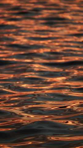 Rippling water glimmers with golden hues from the setting sun. Abstract showcase of nature