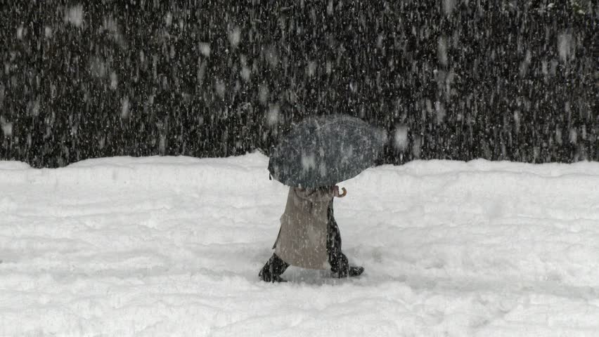 Person walking under umbrella along sidewalk beside wall during heavy winter snowfall storm. Snow blizzard scene shows harsh weather, reduced visibility, and cold urban conditions.