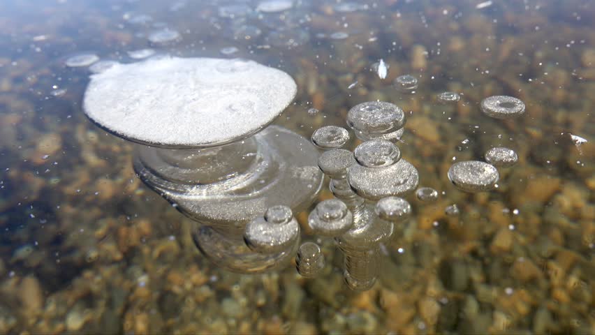 Methane gas bubbles trapped in thick transparent ice layer on frozen lake surface during winter. Natural phenomenon showing white bubble formations under clear ice sheet creating unique pattern view.