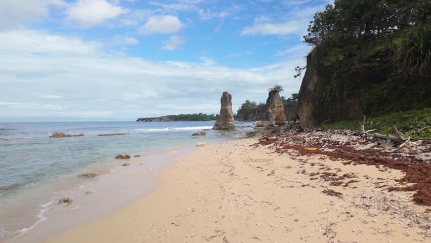 Turtle Bay Beach Portland Jamaica