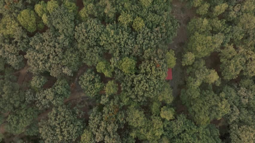 Top down aerial video capturing Bosque de la Primavera in Guadalajara Jalisco from above.