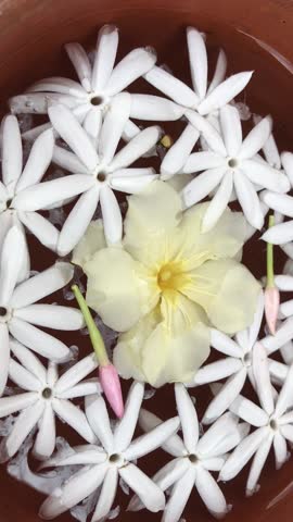 White flowers in the clay pot with water