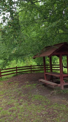 Vertical footage of a wooden picnic table and campfire site nestled under a large tree by a forest road in Slavsko, Lviv region, Ukraine. Captured on a lush summer day.