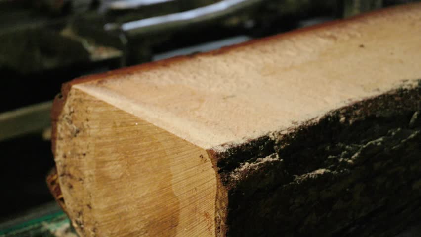 A close-up of a log being cut by a sawmill machine, revealing a clean cross-section and sawdust. Water mist is sprayed to cool the cutting process