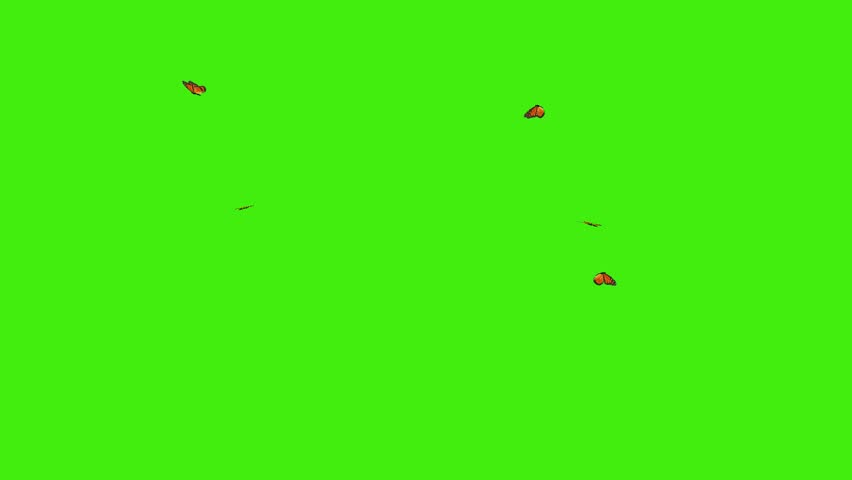 Monarch Butterfly Animation on Green Screen, Flying Butterfly Motion Video, Looping Nature and Wildlife VFX