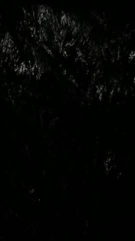 view of the river at night 