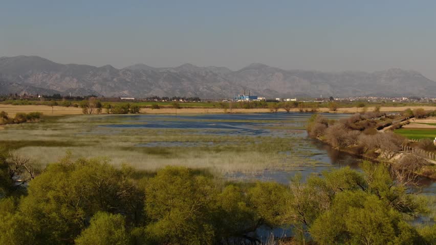Extensive wetlands, reed beds, and a magnificent mountain backdrop. A natural ecosystem, peaceful rural landscape, and wetland habitat.	