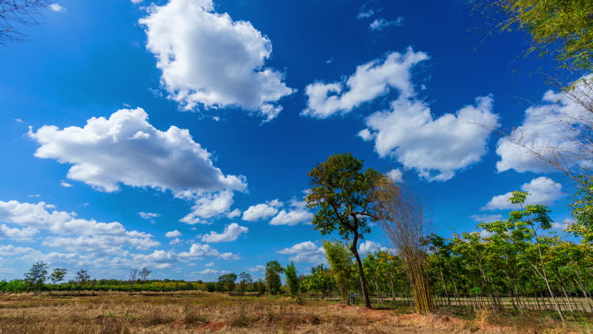 
Timelapse time passing moving clouds over rural countryside forest  tree