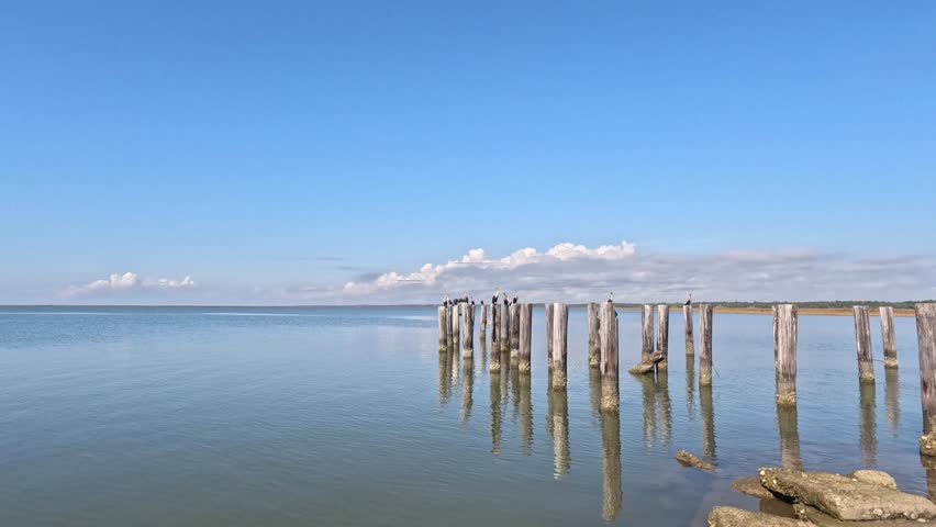Coden, Alabama, USA. 2025.11.18. A bay in Alabama.