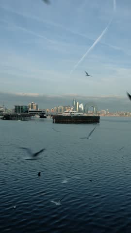 Seagulls and cold weather mood in urban city area. Baku, Azerbaijan.