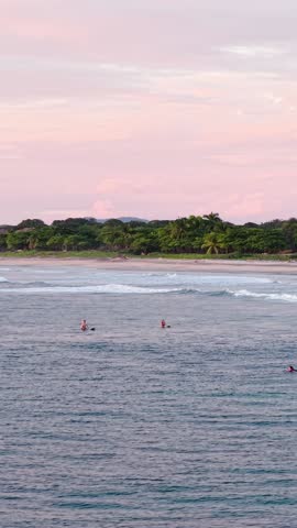 Serene pink sunset over avellanas beach in costa rica. Several surfers are floating on their boards in the calm sea, waiting for the perfect wave