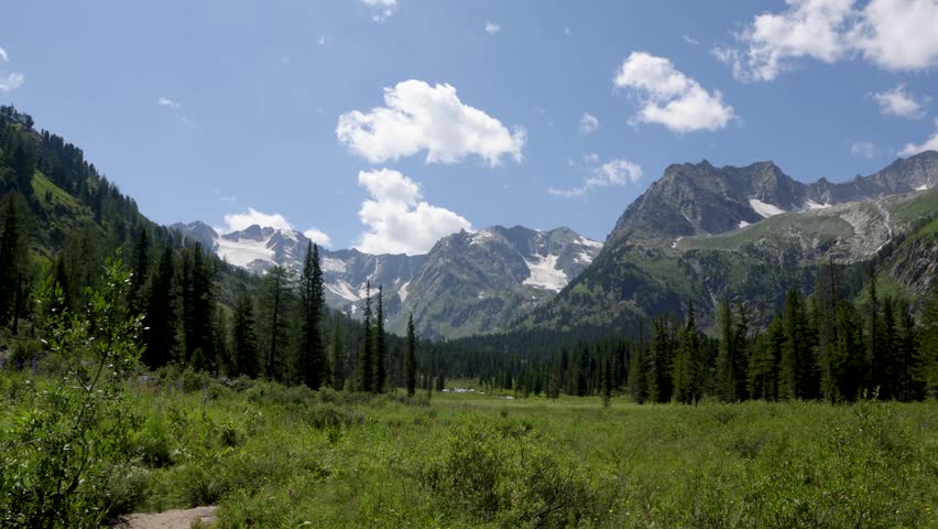 Picturesque mountain valley with blooming alpine meadows, forest and snow-capped mountains in the background. Altai, Russia