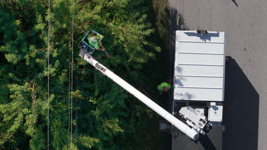 Technician worker cutting tree branches from the electrical power cable area to reduce power outages.