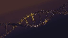 Abstract Dna Double Helix Structure with Golden Particles and Bubbles - Powered by Shutterstock - Get 15% off with code: PIKWIZARD15