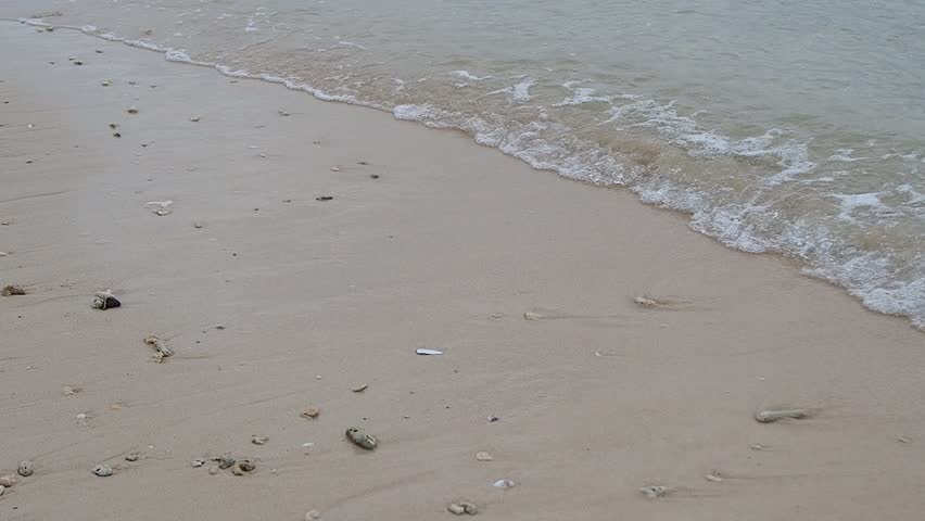 Gentle Ocean Waves Washing Ashore on a Pristine Sandy Beach with Small Shells and Coral Fragments