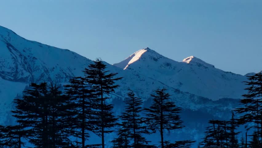 Mountaintops glisten with snow as pine trees silhouette the foreground, capturing the serene beauty of the Himalayas at dusk in Nepal, inviting exploration and wonder.