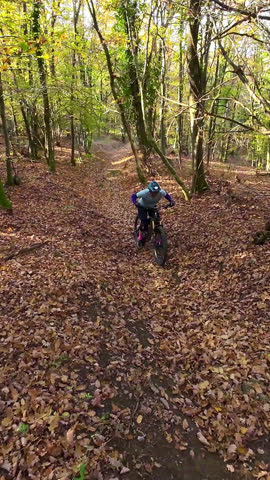 Cyclist riding an electric mountain bike through a lush forest trail on a sunny day