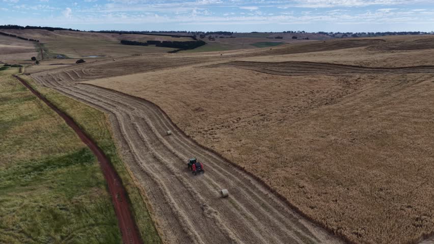 Baling hay bales in a field In Australian. Making silage rolls in a meadow 