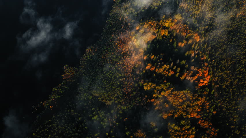 High-altitude aerial view of an autumn forest with orange and green trees beside a deep blue lake as low clouds roll overhead