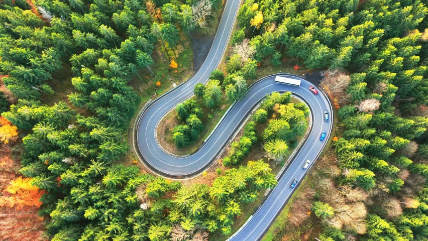 Experience the beauty of an autumn forest featuring a serpentine road. The aerial view showcases vibrant foliage and the curves of the asphalt path as vehicles navigate it.