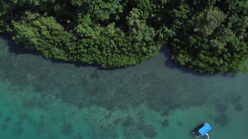 Aerial top down drone view of small boats floating in a tropical bay in Puerto Galera Philippines featuring crystal clear turquoise water, calm sea and vibrant colors ideal for travel and diving.
