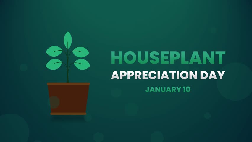 Houseplant Appreciation Day January 10 Animation. Celebratory Potted Plant Graphic. Botanical Event Title Card.