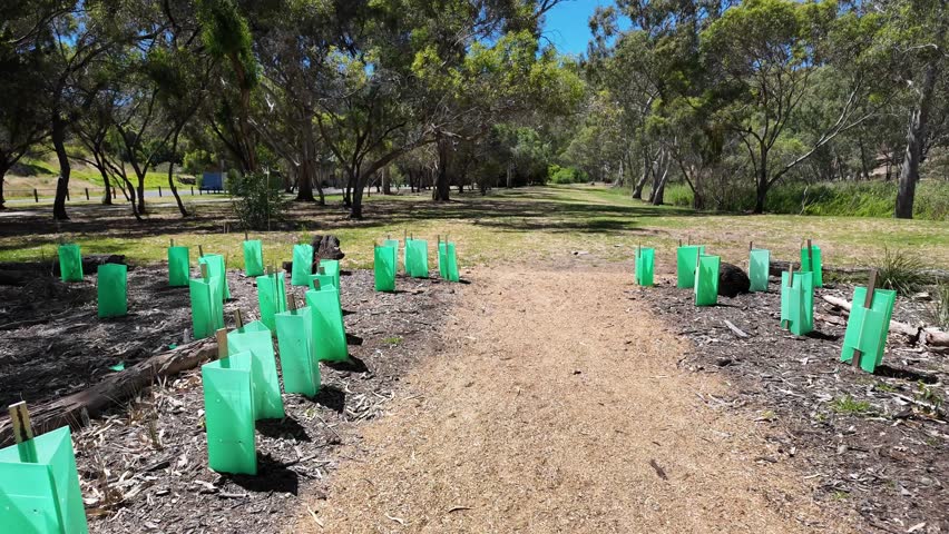 POV Walking Through Suburban Park and Public Pathways in Adelaide Australia