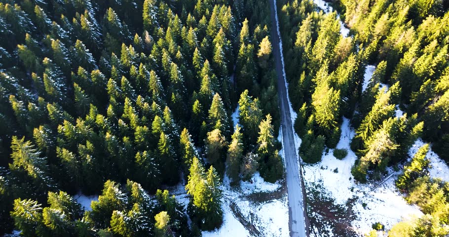 Majestic aerial top down view flying over a mountain road surrounded by a pine forest in winter