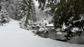 Snowy mountain stream flowing through winter forest with wooden footbridge and snow-covered trees in peaceful nature landscape - Powered by Shutterstock - Get 15% off with code: PIKWIZARD15