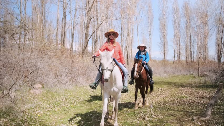 Three young women in cowboy hats ride horses along a sunlit forest path. They pause to enjoy the view, dressed for cool weather. Peaceful nature, female friendship during a countryside escape.