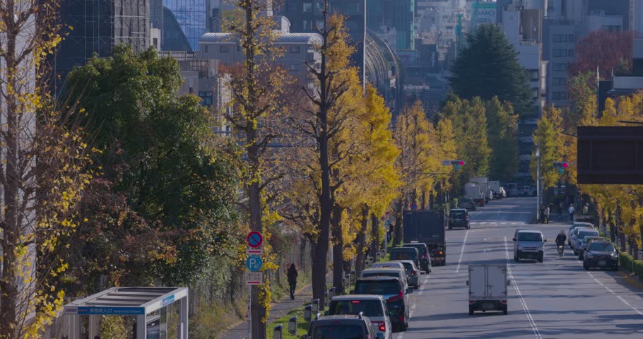 A cityscape of traffic jam at the yellow gingko street in the city in autumn
