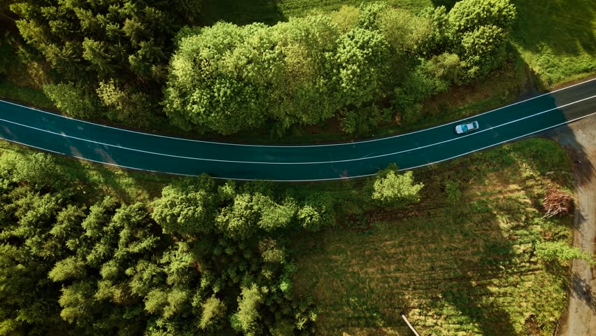 Road trip through woodland. Aerial top view of car moving on road in forest. Aerial shot of car driving on road in pine tree forest