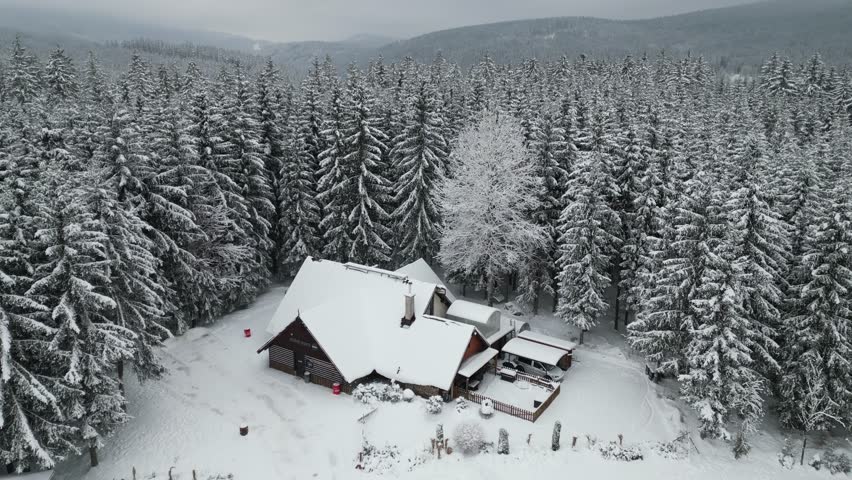 Top Down Aerial Of Snow Covered Pine Forest and Lone Standing House
