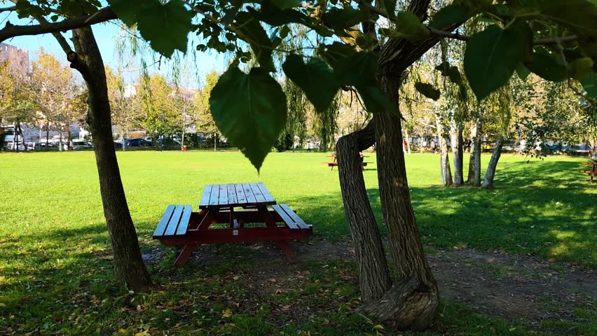 This high-quality footage captures the serene and tranquil atmosphere of Anadolu Hisari Park, located on the Asian side of Istanbul, Turkey. The scene features a classic wooden picnic table nestled under the lush green canopy of mature trees, offering a perfect representation of outdoor relaxation and leisure. The vibrant green grass of the meadow stretches into the background, dappled with soft sunlight and shadows, creating a peaceful "oasis in the city" vibe.

The composition is framed by textured tree trunks in the foreground, providing a natural sense of depth. In the background, other picnic benches and the distant city silhouette can be seen, highlighting the park