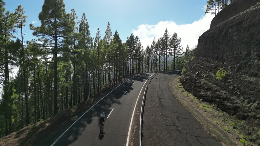 A lone cyclist rides a winding mountain road through a dense pine forest under a clear blue sky, capturing the essence of outdoor adventure, fitness, and scenic natural beauty. This image depicts focus and endurance.