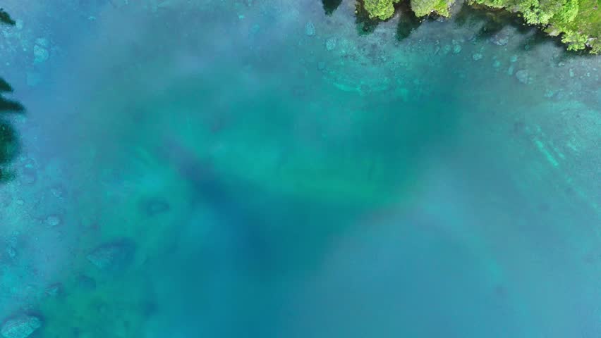 Aerial top down view of a crystal clear turquoise mountain lake surrounded by pine trees