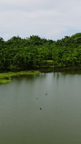 Tropical lake is seen with a backdrop of green mountains and dense tropical forest. Siargao, Philippines.