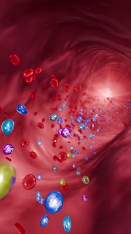 Healthy bloodstream full of nutrients and vitamins, medical science concept of nutrition and body vitality, 3D Rendering
