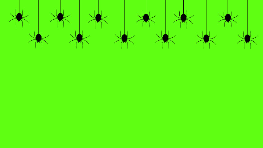 Hanging Spider Silhouettes on Green Chroma Creepy Web Decoration for Halloween and Horror