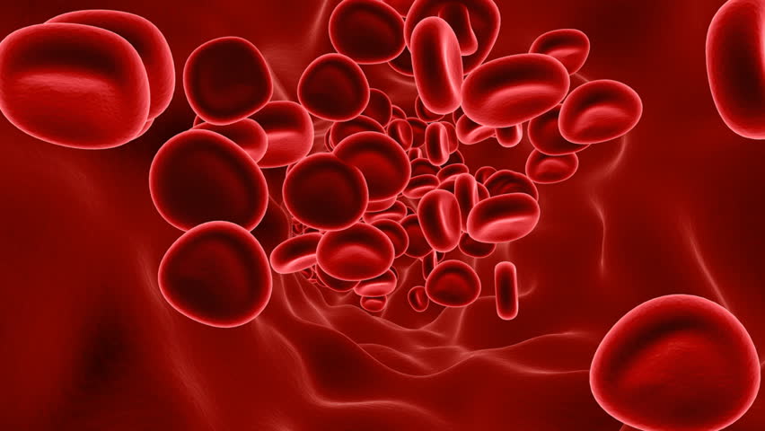 Streaming Blood Cells Stock Footage Video (100% Royalty-free) 397219