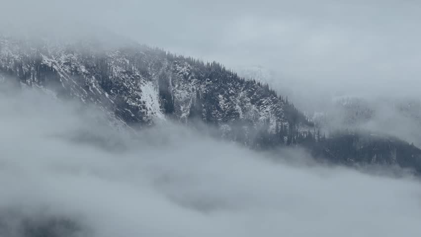 Mist Covered Snowy Mountains and Pine Forest in British Columbia, Canada on an Overcast Winter Day