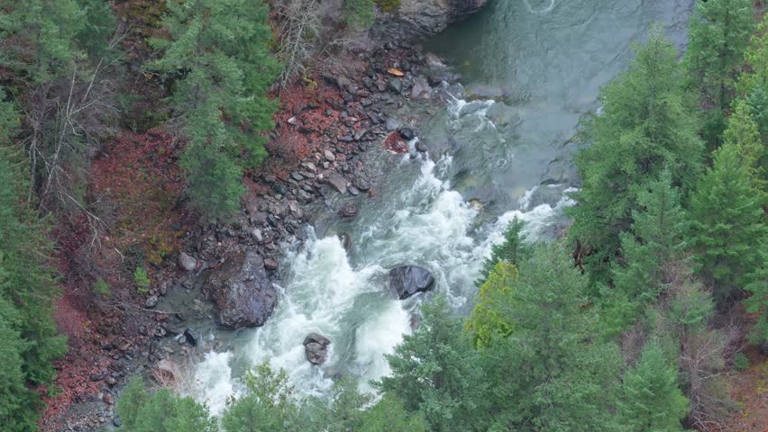 Aerial View of Powerful River Rapids in a Dense Forest Canyon, British Columbia, Canada