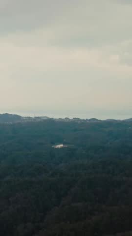 Aerial vertical landscape of Kyoto Japan Daimonji forested Mount with Gozan no Okuribi fire sign