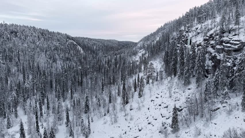 World largest forest biome, boreal taiga wildernesses spanning Finland, Sweden, Norway, and Russia, Nature reserve and national park, Lapland, Drone shot
