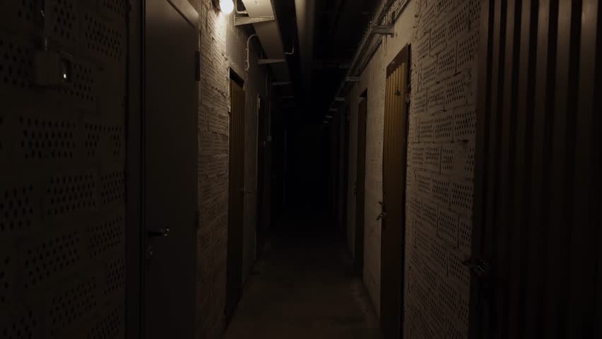Dimly lit underground hallway with metal doors and concrete walls. Creepy, abandoned atmosphere.