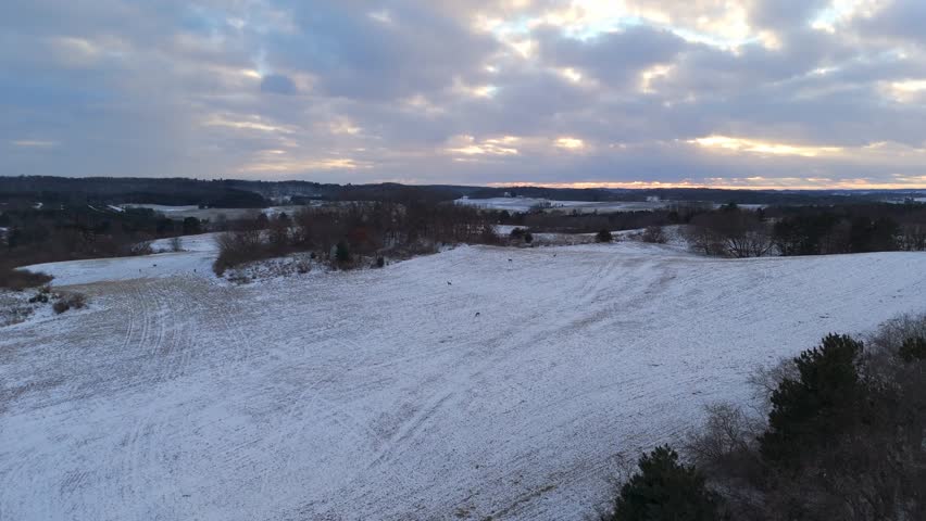 Winter aerial view of rural Wisconsin showing snow-covered fields, bare trees, and distant farmsteads under a pale sky.
