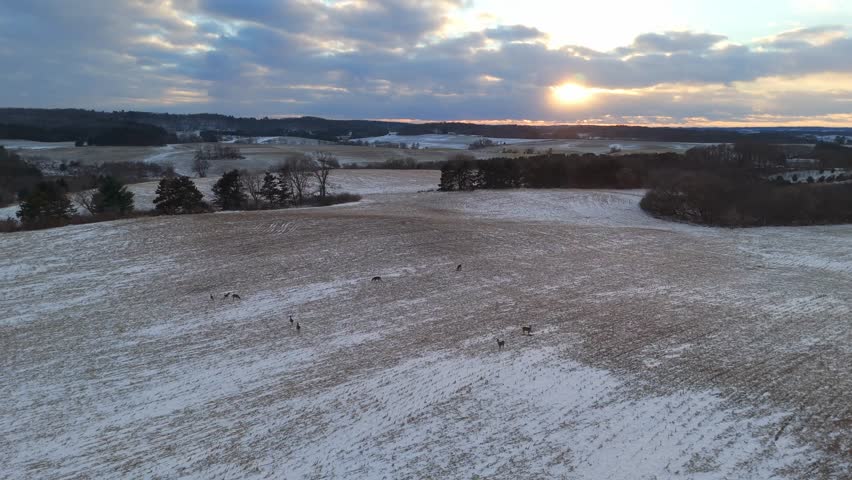 Aerial view of the Wisconsin countryside blanketed in snow, with a small pack of deer moving across frozen fields and winding rural roads.