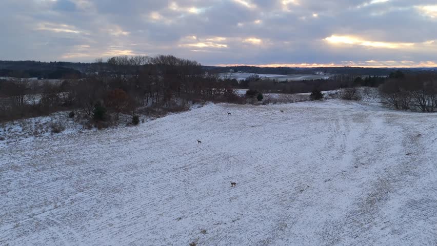 Snowy rural Wisconsin seen from above, where a pack of deer leaves faint tracks across the white countryside.
