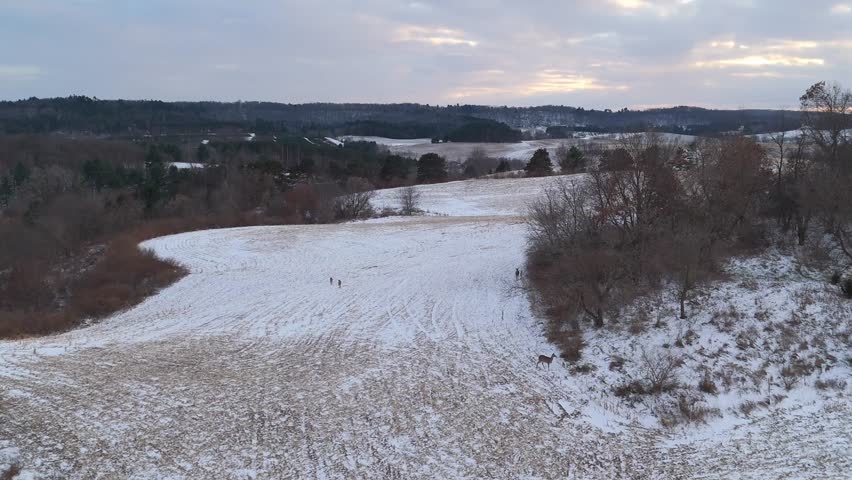 Snow-covered farmland stretches across rural Wisconsin from above, creating a quiet patchwork of white fields and tree lines.
